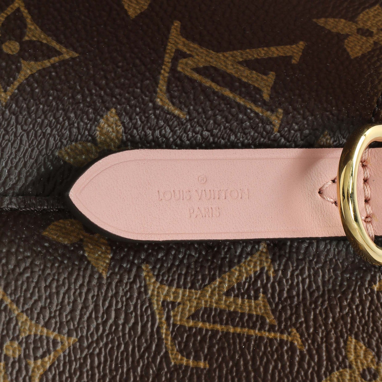 Exclusive Louis Vuitton Monogram Neonoe MM — Detail View