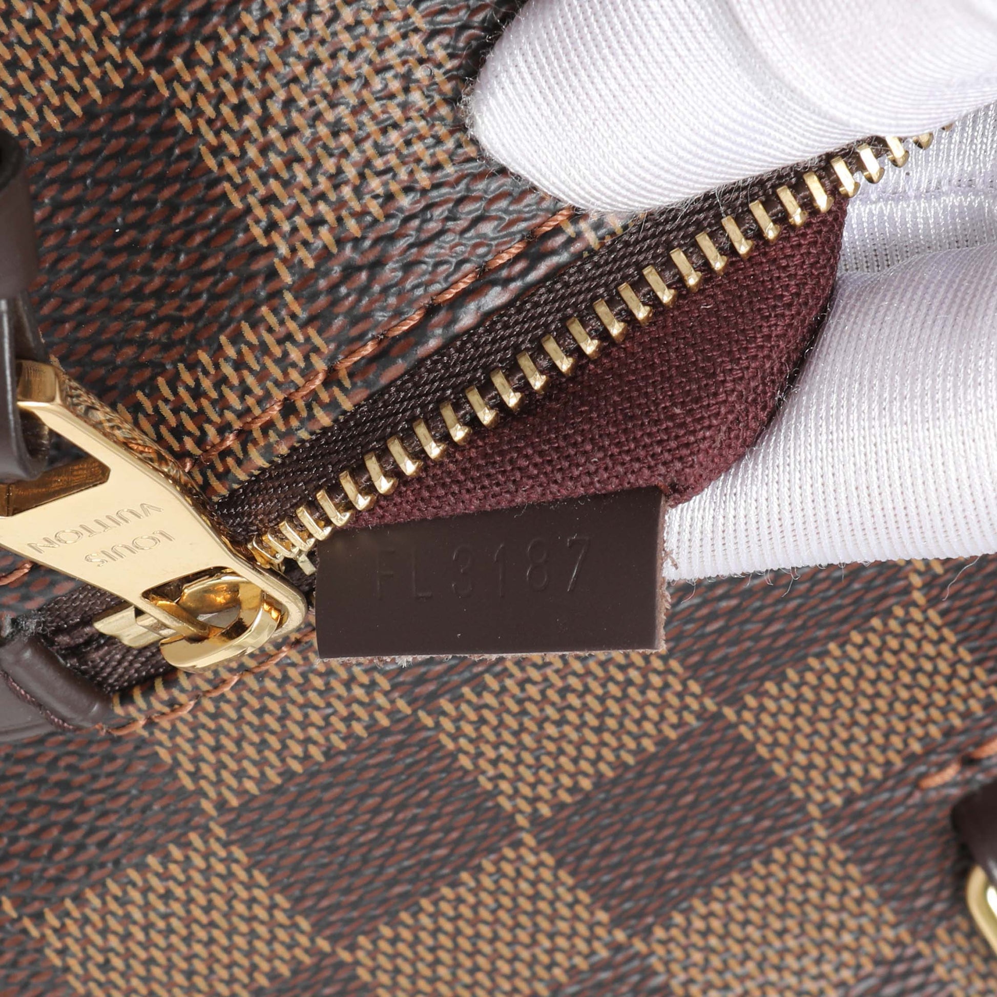 Exclusive Louis Vuitton Damier Ebene Iena MM — Alternate View 10