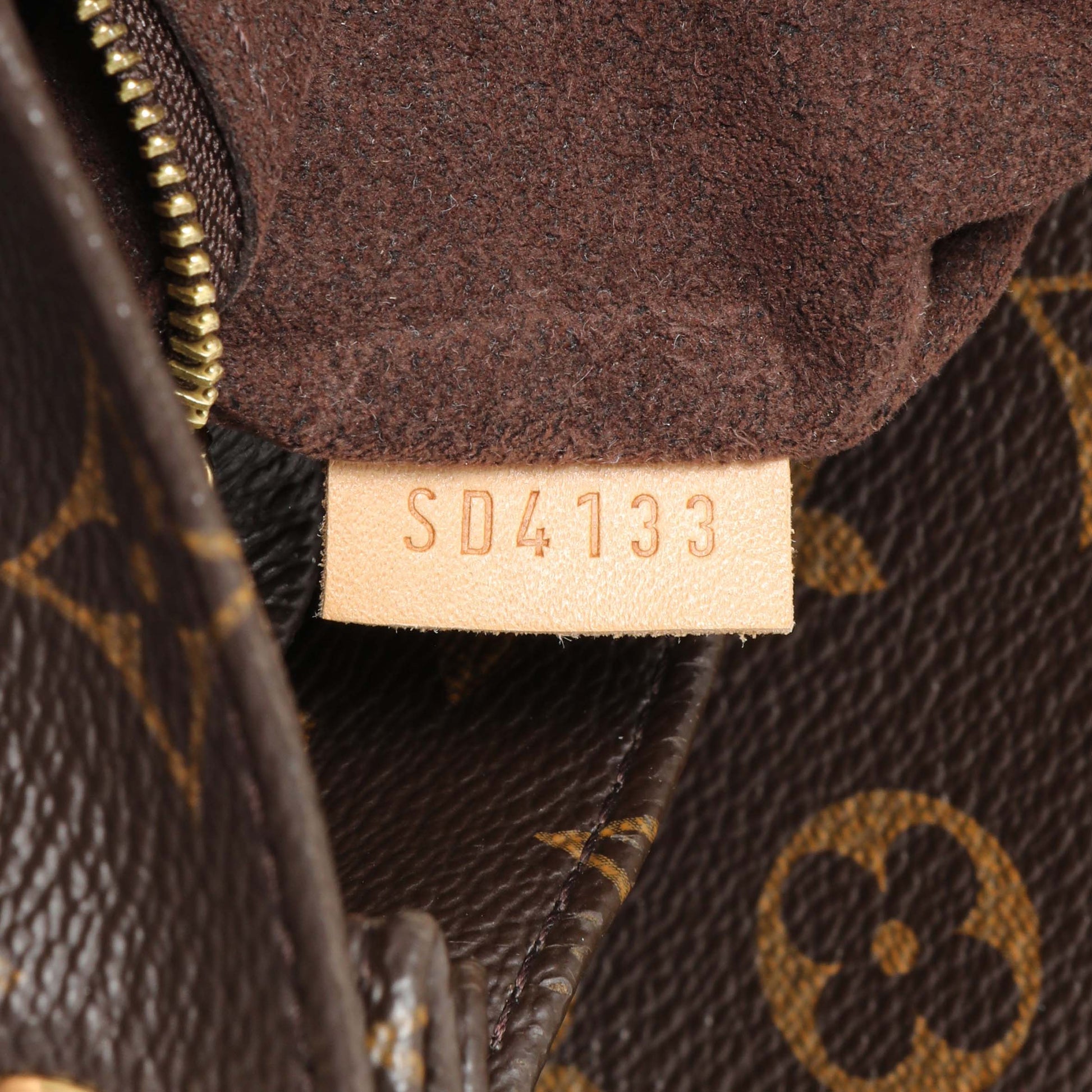 Exclusive Louis Vuitton Monogram Metis — Detail View