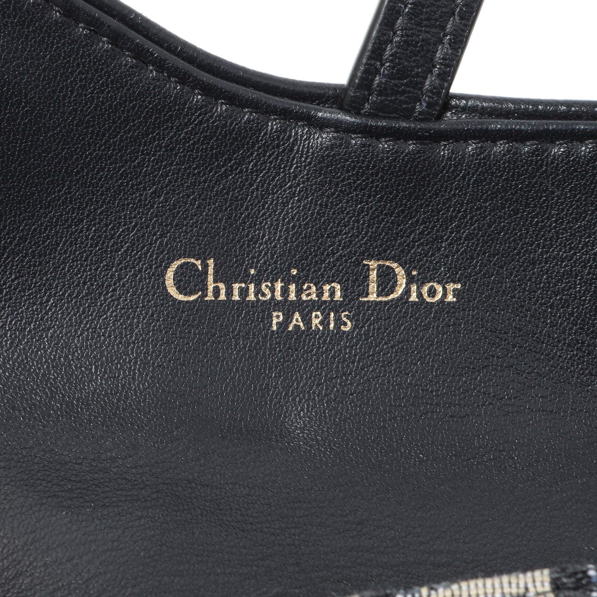 Exclusive Christian Dior Oblique Nano Saddle Chain Pouch — Detail View