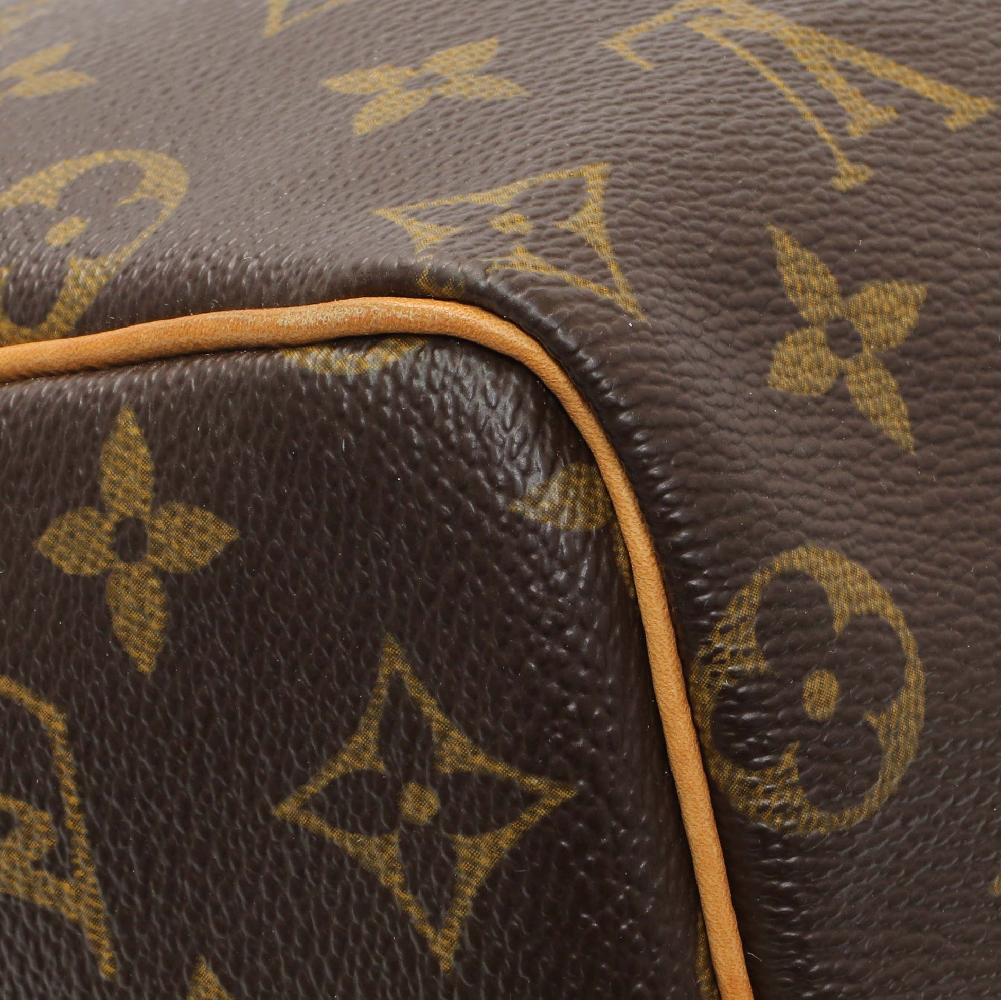 Exclusive Louis Vuitton Monogram Speedy 25 — Lifestyle View