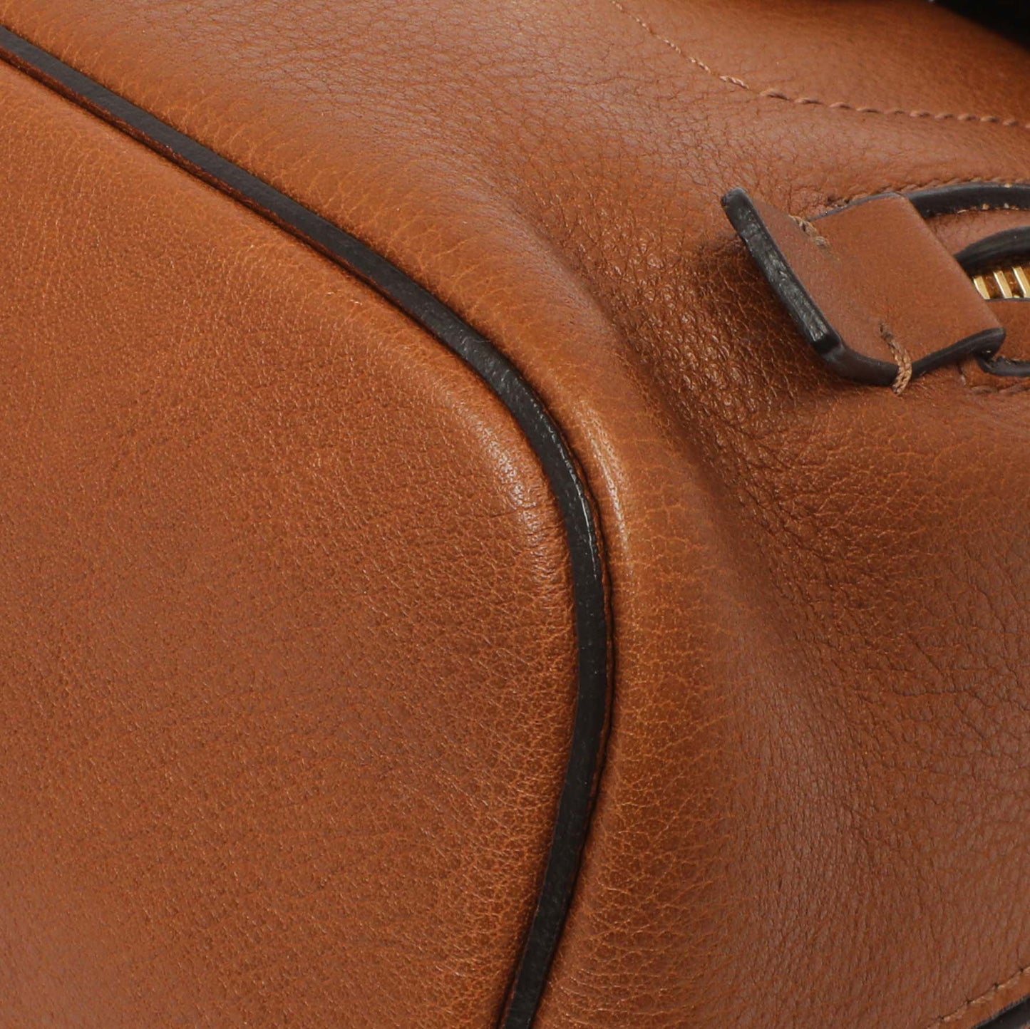 Exclusive Chloe Tan Suede Calfskin Mini Faye Backpack — Detail View