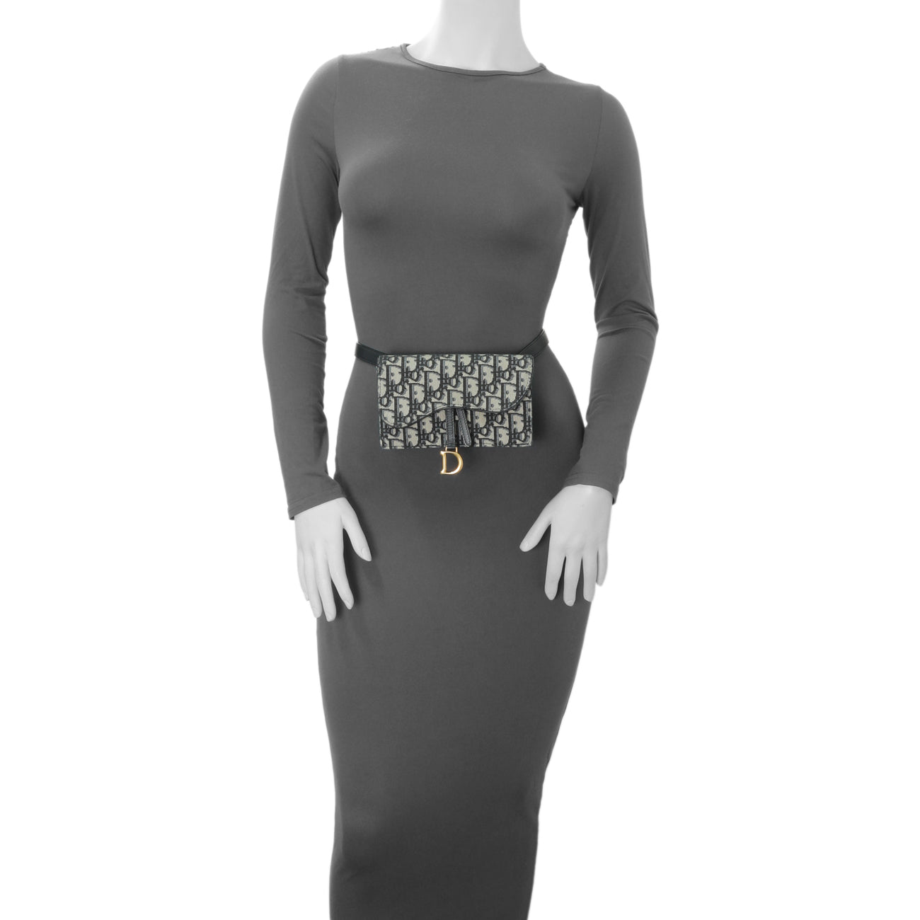 Exclusive Christian Dior Oblique Saddle Belt Bag — Alternate View 9