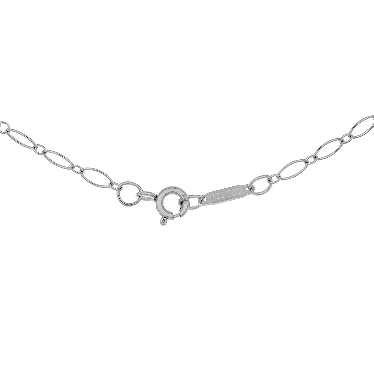 Exclusive Tiffany & Co. 18K White Gold Oval Link Chain Necklace — Back View