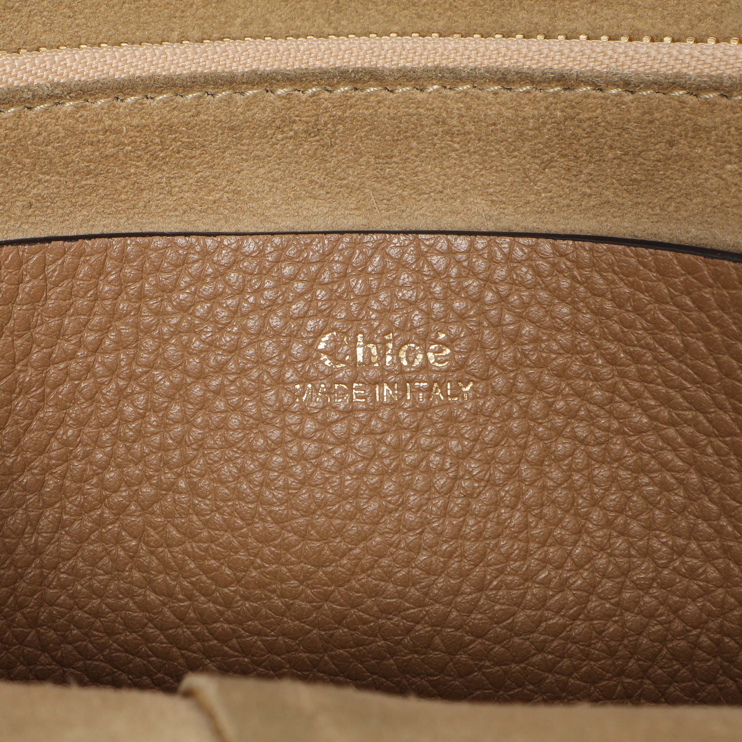 Exclusive Chloe Nut Grained Calfskin Small Hayley Hobo — Lifestyle View