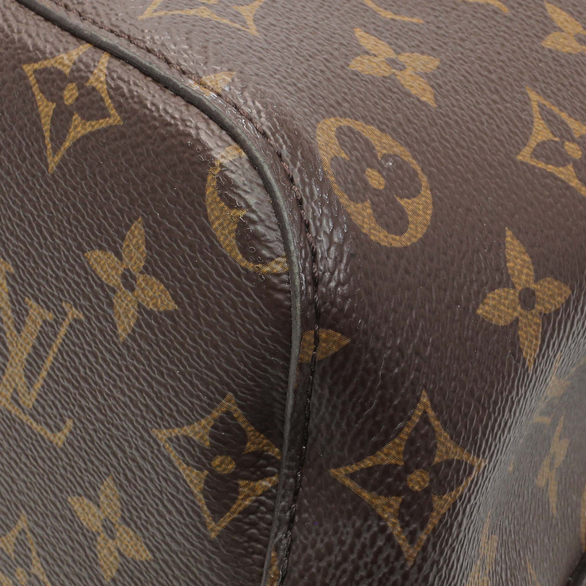 Exclusive Louis Vuitton Monogram Neonoe — Detail View