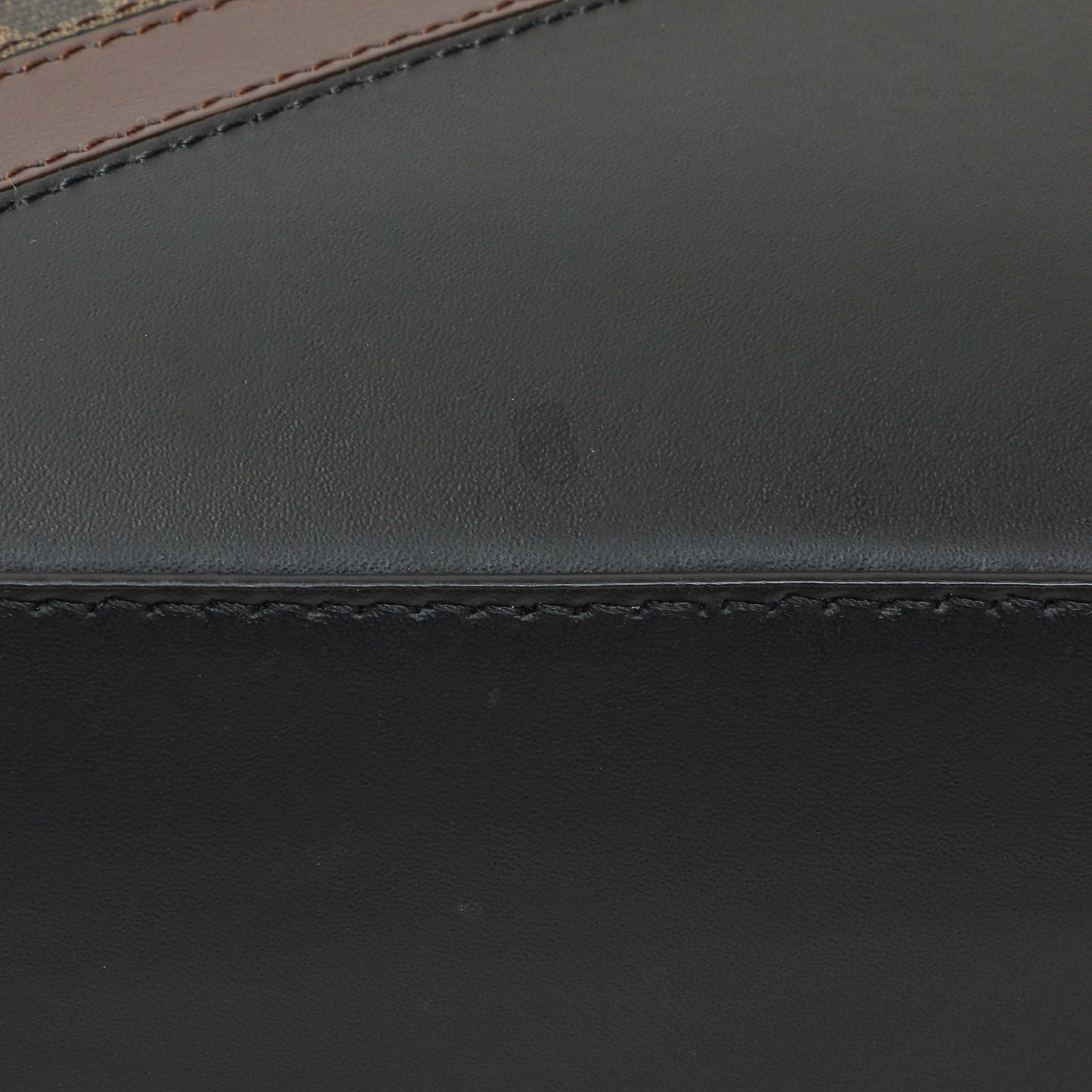 Exclusive Fendi Diagonal Brown FF Canvas Camera Case — Alternate View 7