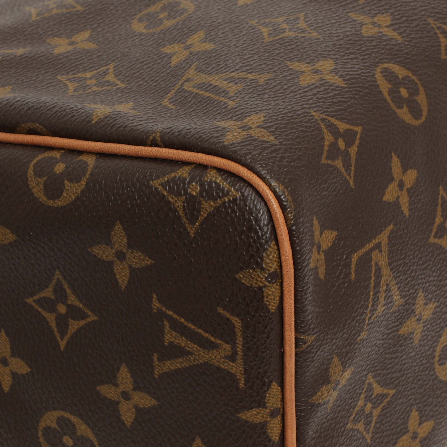 Exclusive Louis Vuitton Monogram Speedy 30 — Detail View