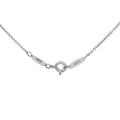 Exclusive Tiffany & Co. Sterling Silver Elsa Peretti Starfish Pendant — Top View