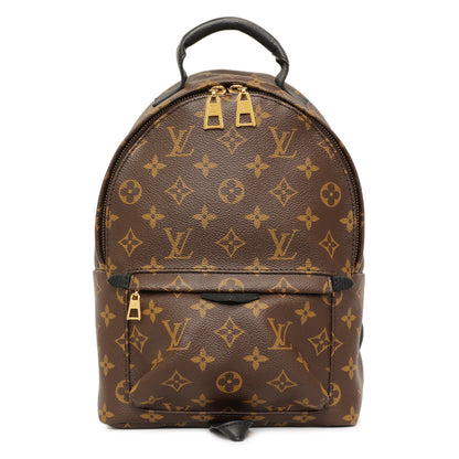 Exclusive Louis Vuitton Monogram Palm Springs PM — Front View