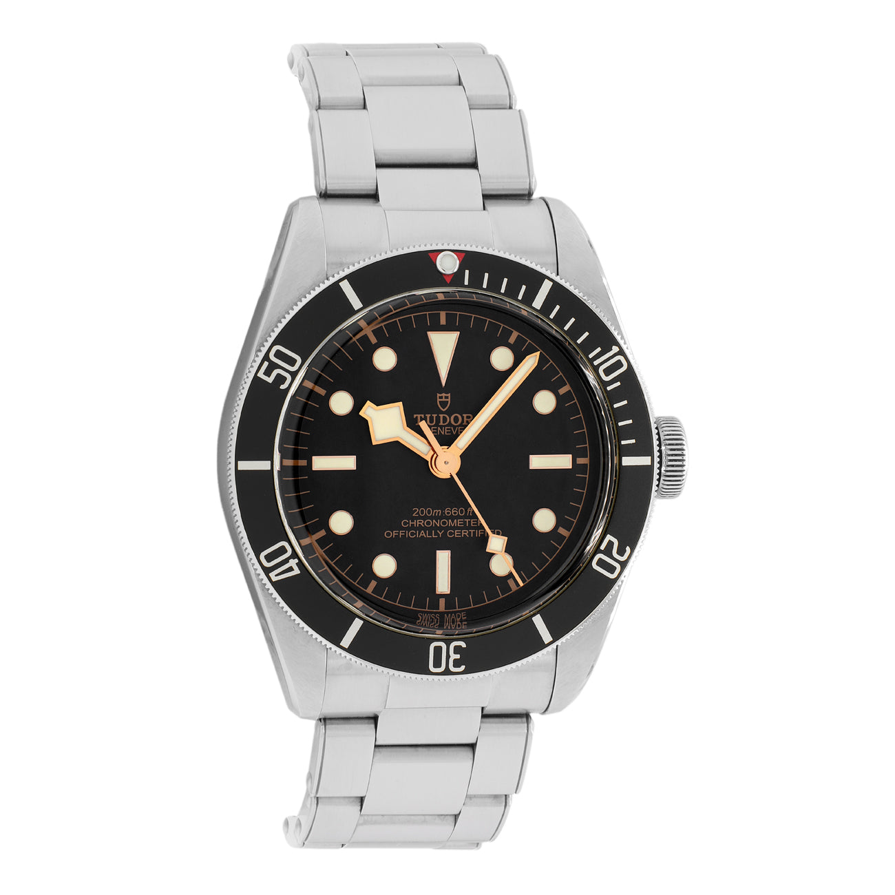 Exclusive Tudor Stainless Steel Black Bay 79230N — Front View