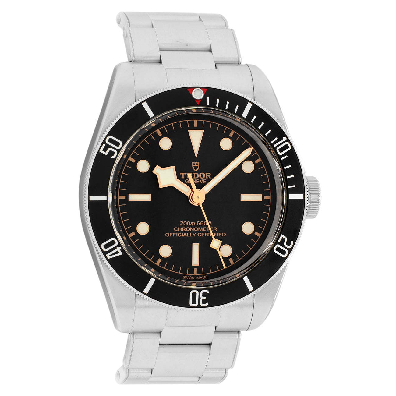Exclusive Tudor Stainless Steel Black Bay 79230N — Front View