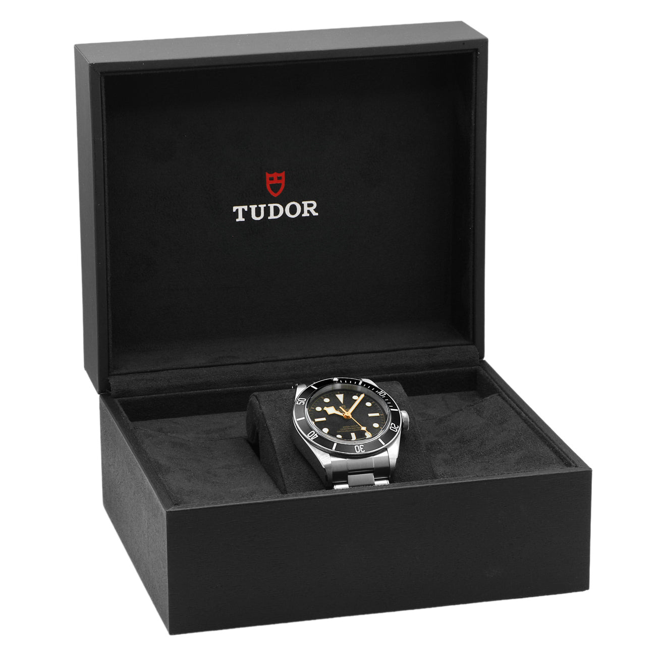 Exclusive Tudor Stainless Steel Black Bay 79230N — Detail View