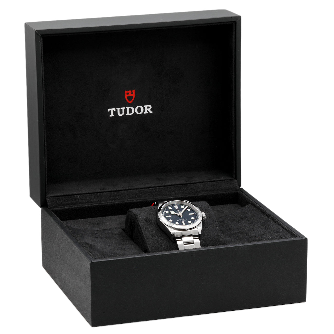 Exclusive Tudor Stainless Steel Black Bay 32 79580 — Detail View